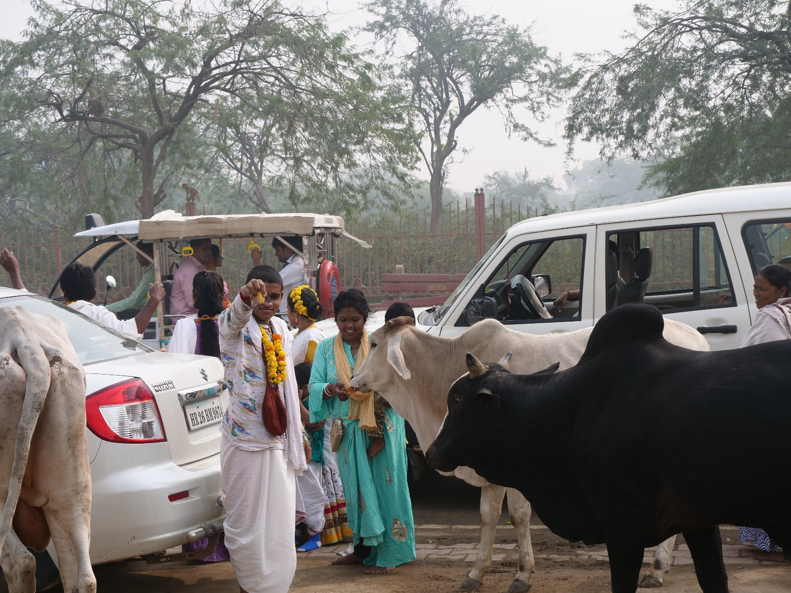  166 Gopashtami Radha kunda Govardhan 19.11.04